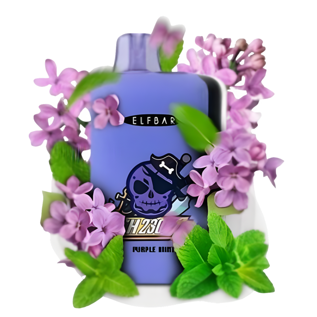 Elf Bar GH 23000